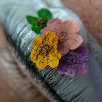 اکستنشن و کاشت هیدن