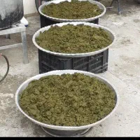 سبزی خورشتی|خوردنی و آشامیدنی|تهران, گیشا|دیوار