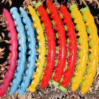 حلقه ورزشی