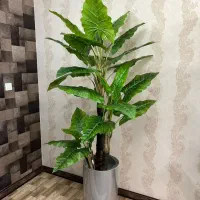 پخش عمده و تک به قیمت عمده انواع درختچه مصنوعی