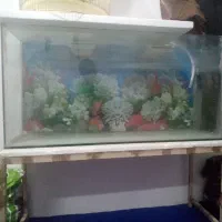 آکواریوم کاملا سالم