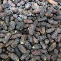 پیارم|حراج|جم, |دیوار