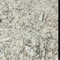 تفاله چغندر