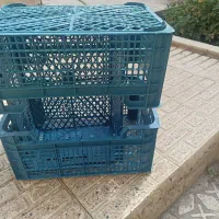 جعبه 2 ردیفه و 3 ردیفه سیب درختی