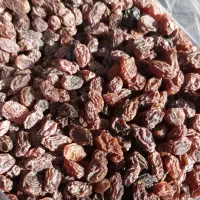 کشمش بیدانه|خوردنی و آشامیدنی|محمدیه-قزوین, |دیوار