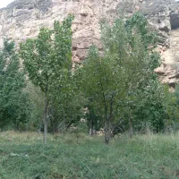 فروش زمین|فروش زمین و ملک کلنگی|مشهد, کارده|دیوار