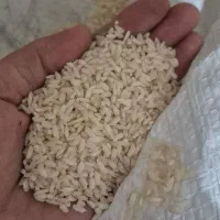 برنج چمپا بن شوار|خوردنی و آشامیدنی|رامهرمز, |دیوار