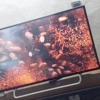 تلویزیون 43اینچ سونیا