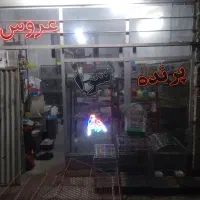 عروس هلندی و مرغ عشق