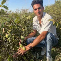 فروش بدون واسطه نهال|خدمات باغبانی و درختکاری|سردشت, |دیوار