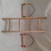 تاب ونردبان بازی پرندگان|لوازم جانبی حیوانات|سبزوار, عظیمیان|دیوار