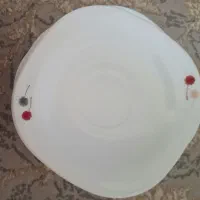 سرویس آرکوپال قاصدک|ظروف سرو و پذیرایی|زنجان, |دیوار