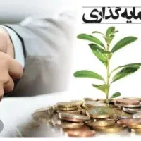 دعوت به سرمایه گذاری در هلدینگ بازرگانی