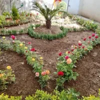 خدمات باغبانی هرسکاری گل کاری و تعویض خاک گلدون