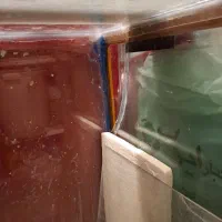 آکواریوم شیشه خم|ماهی|چالوس, |دیوار