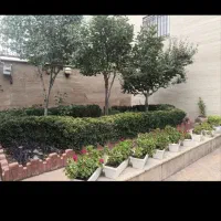 سه طبقه آپارتمان یکجا فروشی