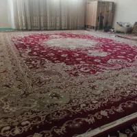 قالی ۱۲ متری