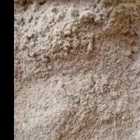 سبوس برنج (کپک)