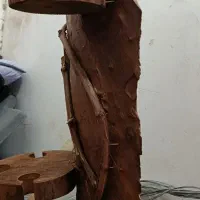 درختچه دکوراتن