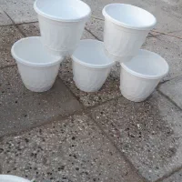 گلدان پلاستیکی محکم وسالم وتمیز در حد نو|گل و گیاه طبیعی|ری, شهرک نظامی|دیوار