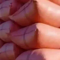 تعداد  ۱۰ عدد شلیف کاه گندم بفروش میرسد