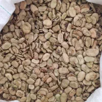 باقله زودپز تمیز برای تیم