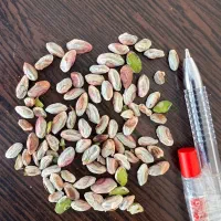 مرکزتولیدوخریدوفروش پسته ومغزفیض آبادمه ولات|خوردنی و آشامیدنی|مه ولات, |دیوار