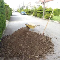 باغبانی و کارواش حیاط و سقف ویلا|خدمات باغبانی و درختکاری|سلمانشهر, |دیوار