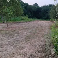 فروش-1500-متر-زمین-بابلکنار-روستای-هلی-خال