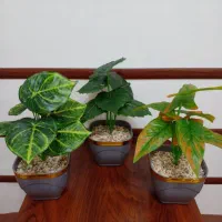 گل مصنوعی، گلدان، تزیینی، گیاه باکسی|گل مصنوعی|تهران, اسفندیاری|دیوار