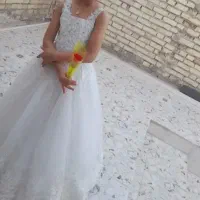 دو عدد مجلسی