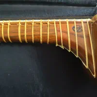 تار استاد دستجردی مهر دار