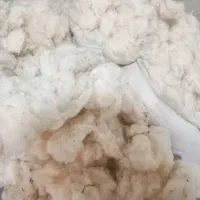 پنبه در حد نو