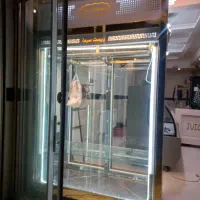 یخچال قصابی درحدنو