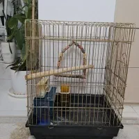 قفس عروس هلندی