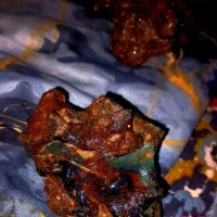 شهاب سنگ کارشناسی شده