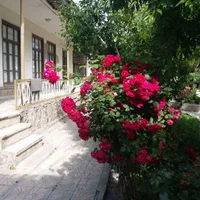 اجاره روزانه/هفتگی/ماهانه آپارتمان ۱۲۰ متری|اجارهٔ کوتاه‌مدت آپارتمان و سوئیت|مشگین شهر, |دیوار