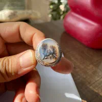 انگشتر نقره کار دست شجر قاینات|جواهرات|تربتحیدریه, باغ سلطانی|دیوار