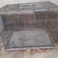 دوتا قفس بزرگ برای پرنده و مرغ سگ گربه|لوازم جانبی حیوانات|شیراز, وزیرآباد|دیوار
