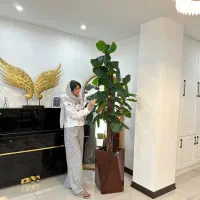 درختچه مصنوعی موز ژاکوبی|گل مصنوعی|آمل, |دیوار