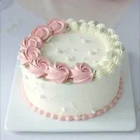 تخفیف ویژه کیک خانکی