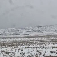 چونه پهن کن(خانم یا آقا)