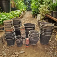 گلدان پلاستیک گلخونه ای و خاک باغچه و گلدان جزیره