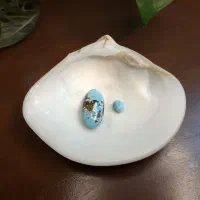 نگین فیروزه زیبا