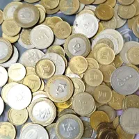 سکه|کلکسیون سکه، تمبر، اسکناس|میبد, |دیوار
