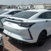 شاین