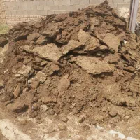 بار گوسفند