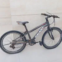 فروش دوچرخه 24 گالانت