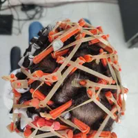 فر موی مردانه|خدمات آرایشگری و زیبایی|نیشابور, امام خمینی|دیوار