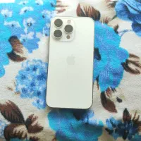 آیفون 13 پرو CH 256